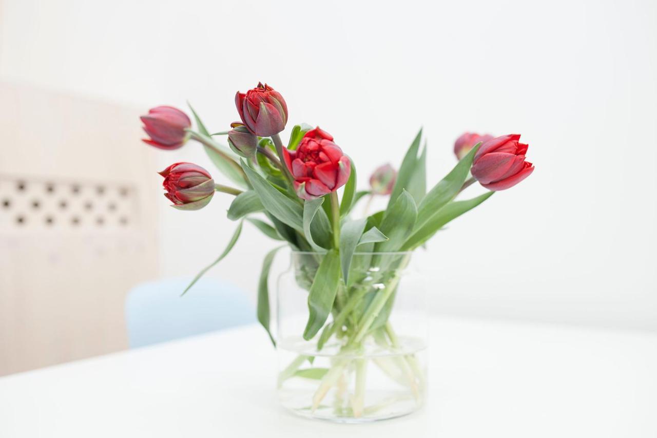Hip & Stylisch B&B Amsterdam Dış mekan fotoğraf